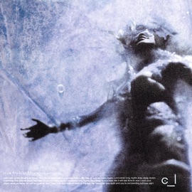 Nightmares Still Haze & Max Fry