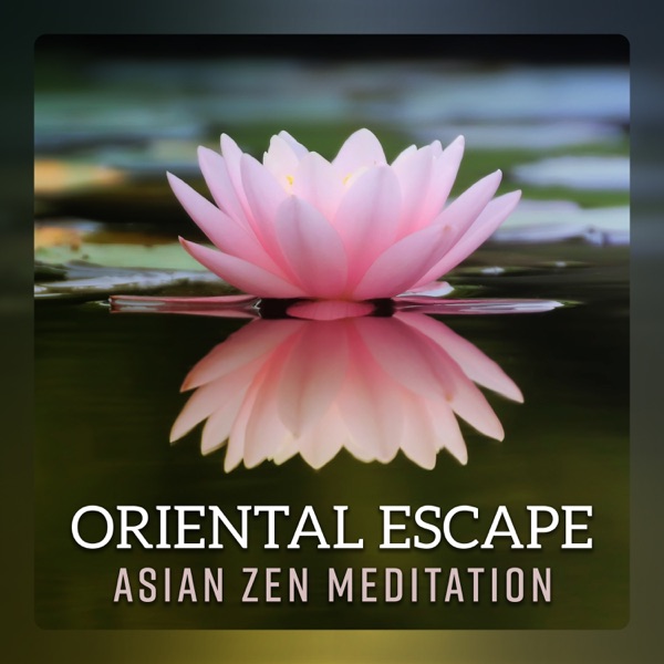 Oriental Escape - Asian Zen Meditation Music, Japanese Chill, Healing Yoga, Guzheng & Erhu, Wellness Spa, Calm Sleep