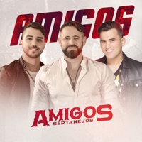 Rapariga Também Ama - Single - Amigos Sertanejos & Tayrone