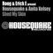 Shed My Skin (feat. Anita Kelsey) [Club Mix] - HouseQuake lyrics