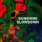 Way, Shape, or Form - Sunshine Slowdown lyrics