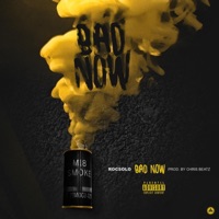 Bad Now - Single - Roc Solo