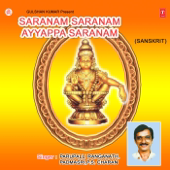 Ayyappa Hariharananda