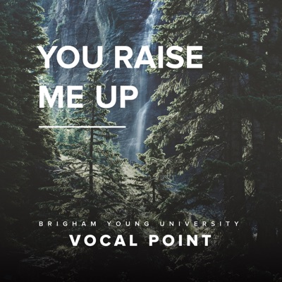 You Raise Me Up - Single