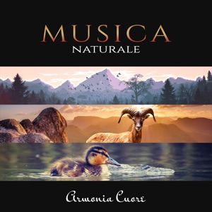 Musica naturale