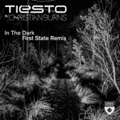 In the Dark (feat. Christian Burns) [First State Remix] artwork