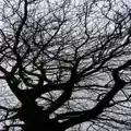  - equinox