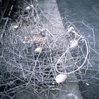 Avidya - EP - Manuel Rocha Iturbide