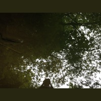 You Don't Wana Fw with Someone Like - Single - Poppy Tears