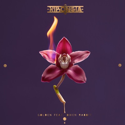 Golden (feat. Owen Rabbit) - Single