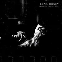 Peace Will Grind You Down — Luna Honey