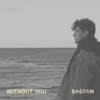 Without You - Stefan