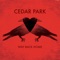 All by Myself (Brad Walsh Remix) - Cedar Park lyrics