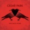 All by Myself (Brad Walsh Remix) - Cedar Park lyrics