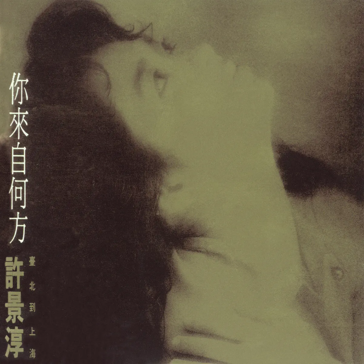許景淳 - 你來自何方 (2009) [iTunes Plus AAC M4A]-新房子