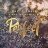 Perfect (Piano Orchestral) - David Solís
