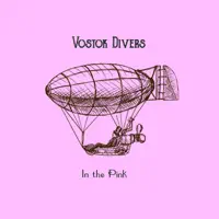 In the Pink — Vostok Divers