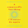 A Supposedly Fun Thing I'll Never Do Again - David Foster Wallace