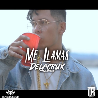 Me Llamas - Single
