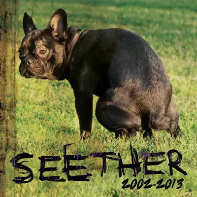 Seether: 2002-2013 - Seether