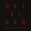 Det vi Har - Kari Bremnes