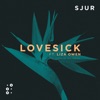 Lovesick (feat. Liza Owen) - Single, 2017