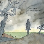 I Need a Forest Fire (feat. Bon Iver) by James Blake