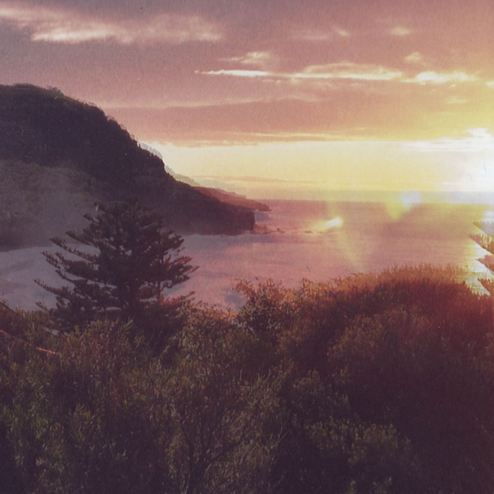 Beauty Point by The Ocean Party