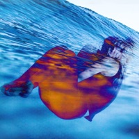 Flux & Felicitas - Single - Tzara