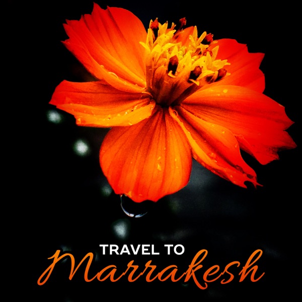 Travel to Marrakesh