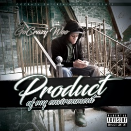 Run It Up (feat. Joey Joe, Steven B the Great & Slick) Go Crazy Woo