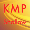 Shallow (Originally Performed by Lady Gaga & Bradley Cooper) [Karaoke Instrumental] - KMP