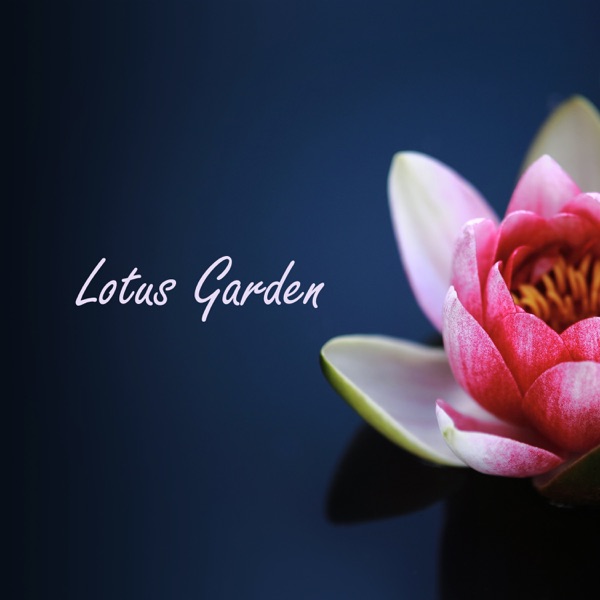 Lotus Garden: Gentle Melodies for Relaxation Meditation, Music for Deep Sleep, Calming Sounds of the Sea, Zen Soothing Sounds of Nature