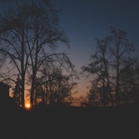 Ferven - Lonely Nights