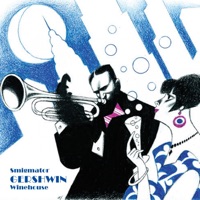 Jan Smigmator, Vladimír Strnad & Miroslav Linka - 'S Wonderful