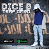 Trap Dmrd - Single