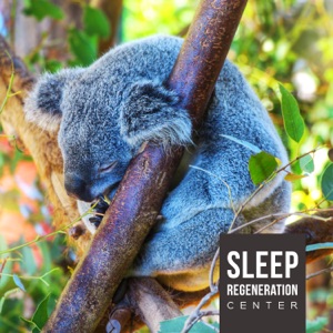Sleep Regeneration Center