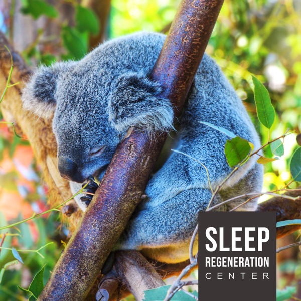 Sleep Regeneration Center