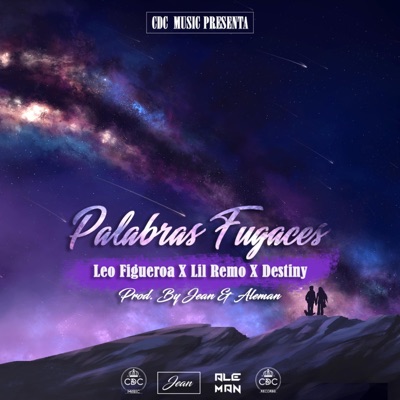 Palabras Fugaces (feat. Lil Remo & Destiny) - Single