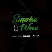 Smoke Up All Da Weed - Single - Junior Ortiz