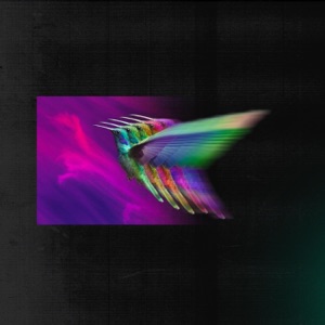 Fly Like Birds - Single