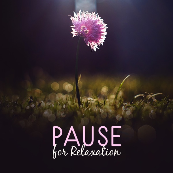 Pause for Relaxation: Stay Calm, Heal Your Mind & Soul, Stress Reduce and Anger Control, Feel Serenity & Calmness