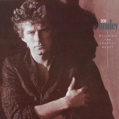 Building the Perfect Beast - Don Henley