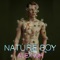 Nature Boy - Alex VDH lyrics
