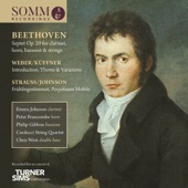 Beethoven, Küffner & Strauss: Chamber Works artwork