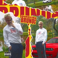 Dingen Van Bruno - Brunzyn