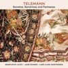 Genevieve Lacey, Marko Myohanen, Tapiola Sinfonietta & Olari Elts - Fantasia in E Major for Recorder, TWV 40:10: I. Affettuoso
