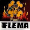 Flema - Metamorfosis Adolescente