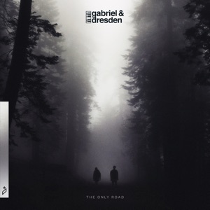 Over Oceans (feat. Josh Gabriel) [Edit]