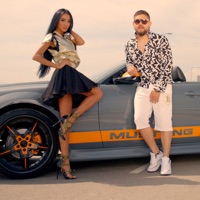 Палим и летим (feat. Silver) - Single - Ани Хоанг